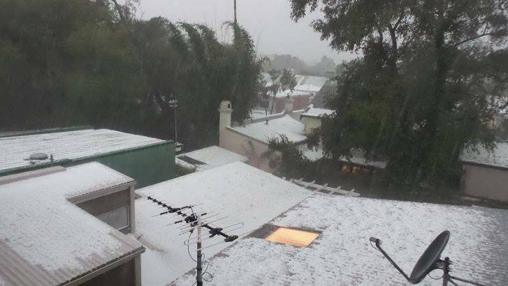 Hail gathers across Newtown. Photo: Amy McNeilage