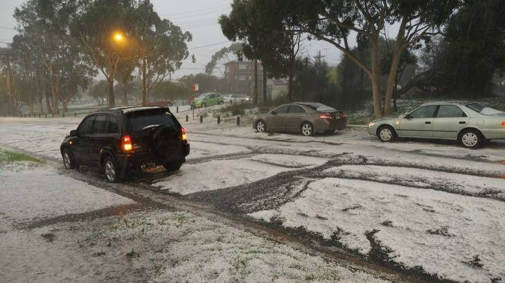 Cars are pelted with hail in Kingsford. Photo: Ying Xiang Tan