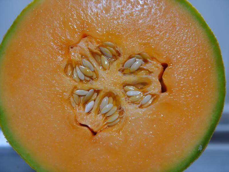 Up to 10 people across Australia have been hit by a bug after eating rockmelon from a NSW grower.