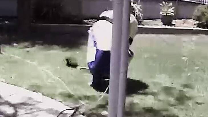 'Despicable act': Lawn-stealing minion taunts WA man