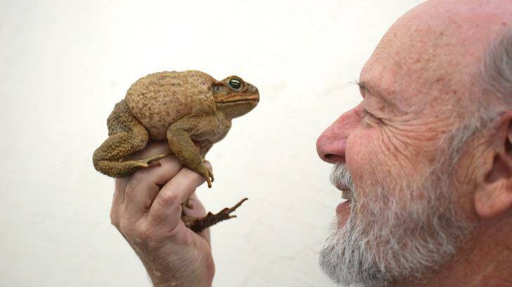 Professor Rick Shine has shown the most humane way to kill cane toads is to freeze them.