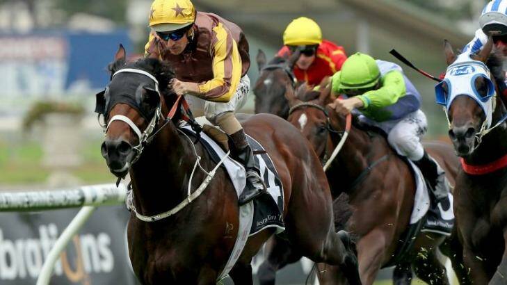 El Roca pictured in action at Rosehill. Photo: Damian Shaw