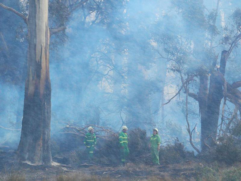 Victorians hit by devastating bushfires in the south west of the state are banding together.