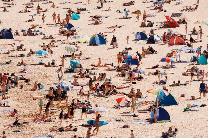 A crowded Freshwater beach filled with umbrellas and shades. Saturday 6th January 2018. Photograph by James Brickwood. SMH NEWS 180106