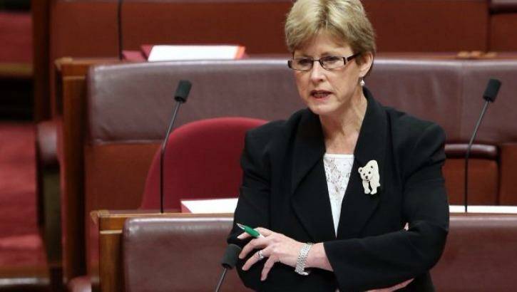 Greens leader Christine Milne said Treasurer Joe Hockey's plan to set up a working group with the British government is just talk.
 Photo: Andrew Meares