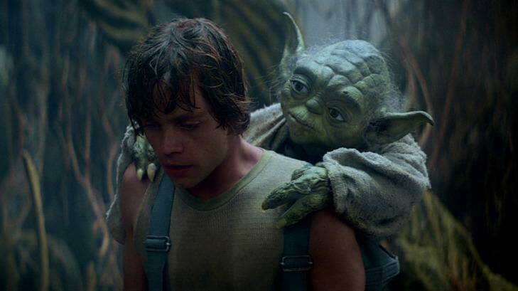 Yoda's lessons to Luke Skywalker on his home planet of Dagobah in The Empire Strikes Back may be revisited in a new story. Photo: Star Wars/Disney