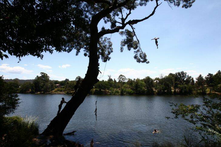 Photographs show young Penrith boys leaping from the Tarzan rope swing tree on the banks of the Nepean in Penrith today as the temperature hit 37 degrees before tomorrow??????s predicted 45 degree max. From the highest perch the height is almost 20 meters. Photograph by Dean Sewell. Taken Saturday 6th January 2018
