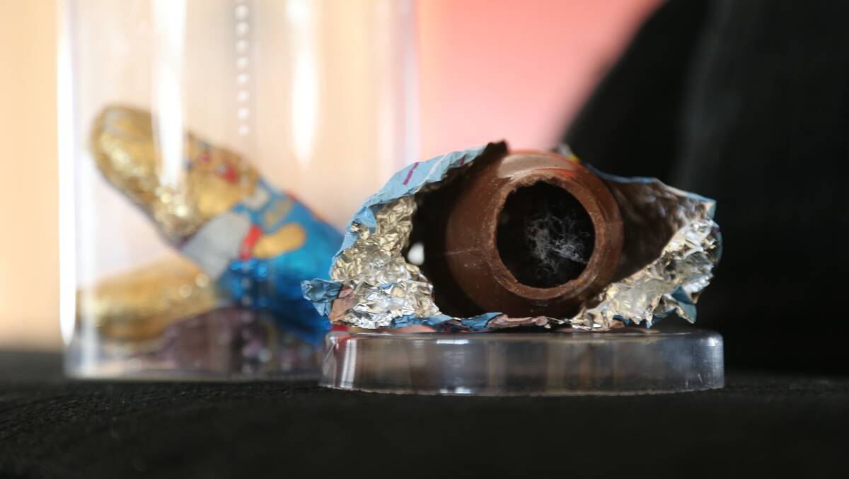 IN A TANGLE: Spider webs inside Jye Eslick's Easter egg had his father worried for his son's safety.