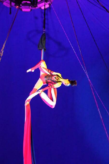 AWE-INSPIRING: Great Moscow Circus perfomer Kiarnna's silk act impresses Griffith audiences on Wednesday night at the showground. Picture: Anthony Stipo 