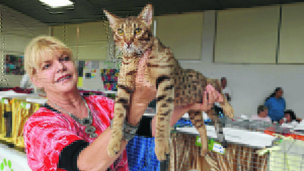 PURR-FECT: Michelle Lorenzi with her cat Tommy is one of many local winners at Saturday’s Griffith Cat Show.  