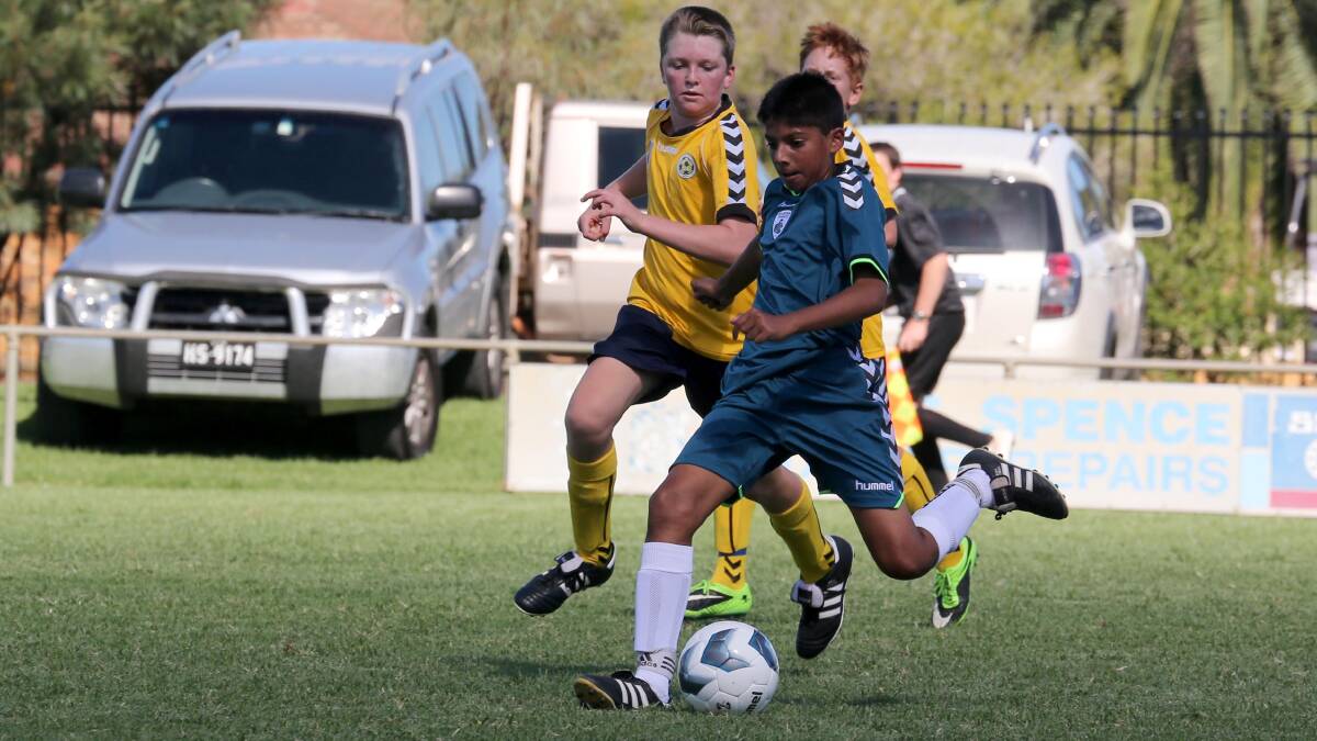 Football NSW Regional League, Riverina Rhinos.
Pictures by Anthony Stipo