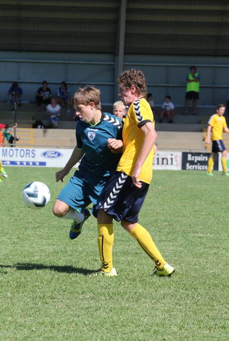 Football NSW Regional League, Riverina Rhinos.
Pictures by Anthony Stipo