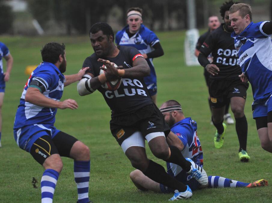 POWERHOUSE: Griffith's Marika Vunibaka breaks through a tackle on Saturday. The former Super Rugby star is now the leading tryscorer in the Southern Inland competition after extending his tally to seven for the year. Picture: The Daily Advertiser