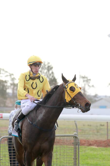 IN RARE FORM: Sonro has added the Parkes Cup to local trainer-owner Gino D'Altorio's bulging trophy cabinet after a good run on Saturday continued the six-year-old's recent hot streak.