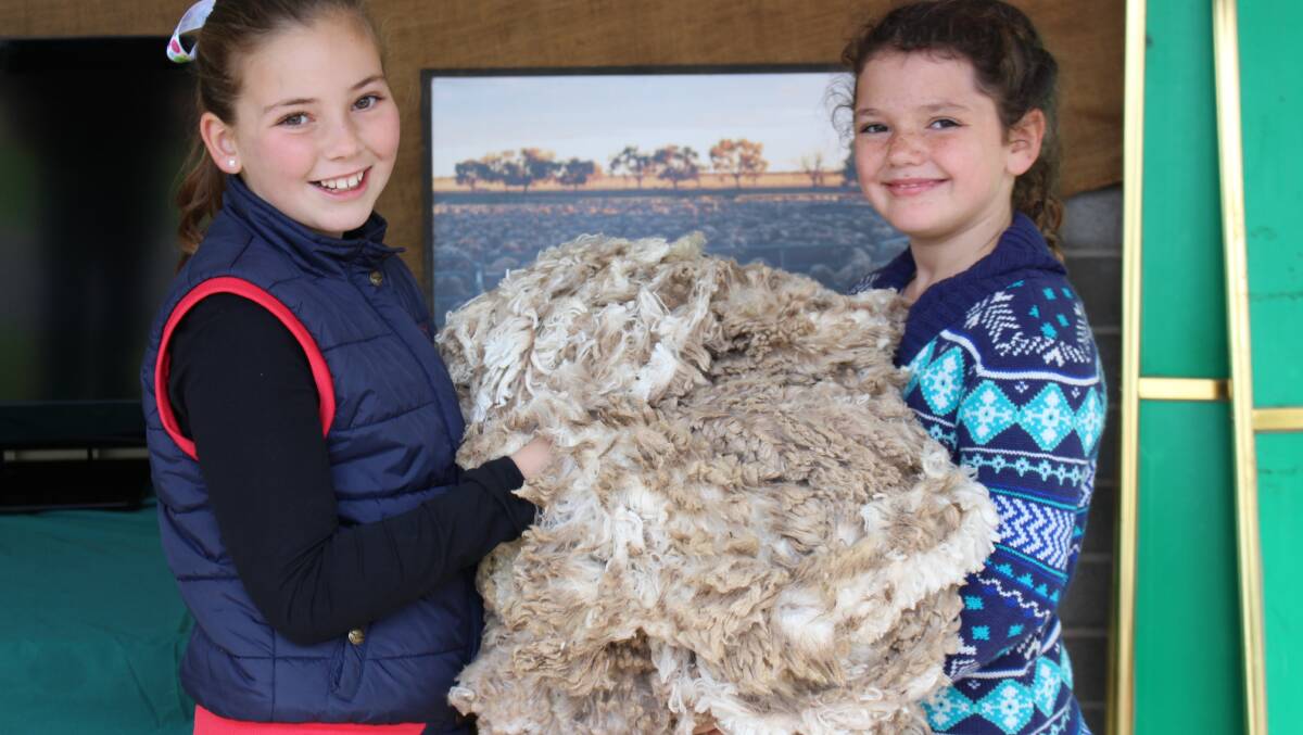 FARM FUN: Georgina McConachy, 10, and Charlotte Young, 9, with fleece from a local farm.