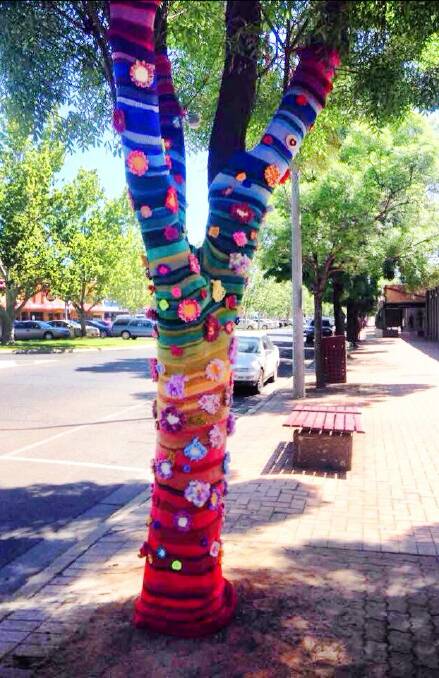 COLOUR: This yarn-bombed Banna Avenue tree is currently adding colour to the main street. 