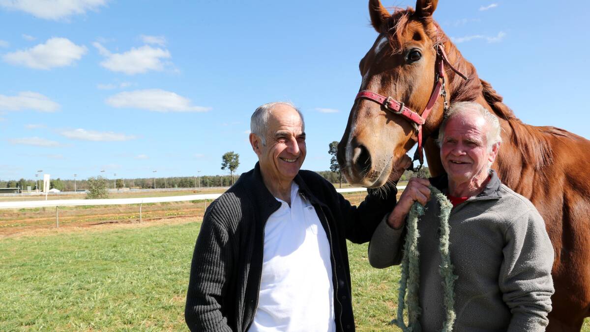 READY TO GALLOP: Griffith trainer Gino D'Altorio and stable foreman Eric Heaton hope Devious Fella runs well in the Griffith Cup