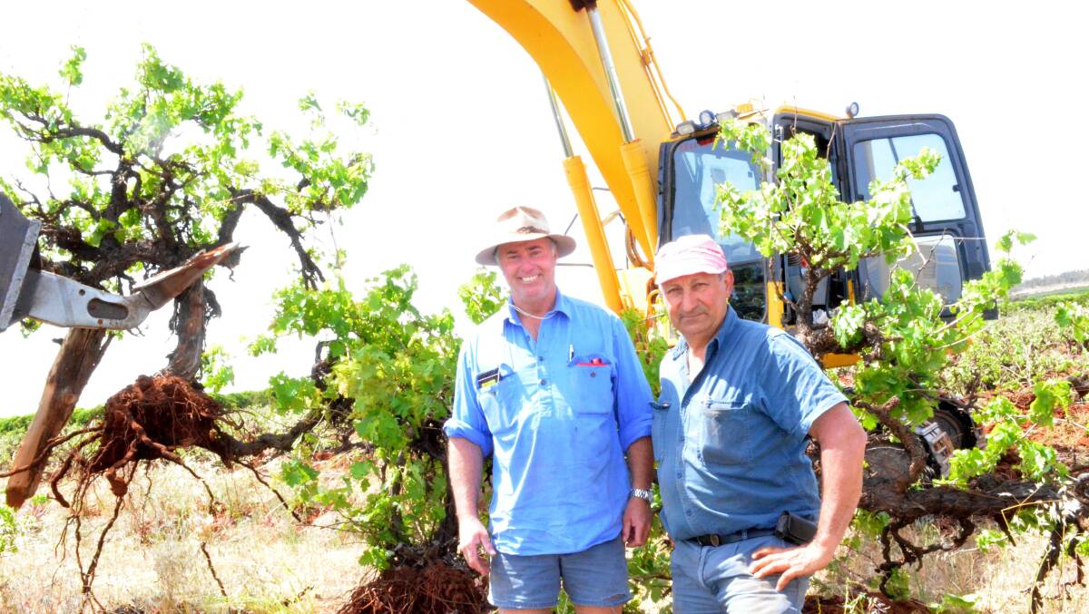 END OF AN ERA: Excavator operator Garry Connors and third generation Tharbogang farmer Joe Saltare check out the vines, which were ripped out last Thursday.