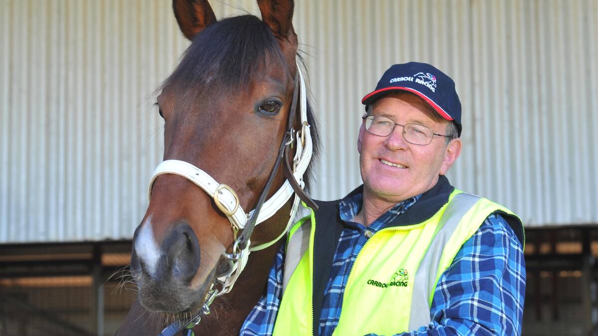 LUCK: Wagga trainer Wayne Carroll is hoping for a bit of luck for Casual Zariz in the Griffith Cup barrier draw.