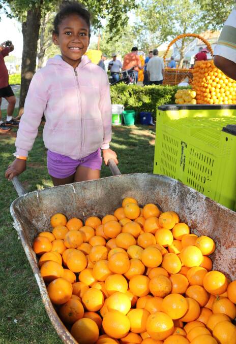 DOZENS of community members assembled on Banna Avenue to erect their citrus sculptures earlier this morning.