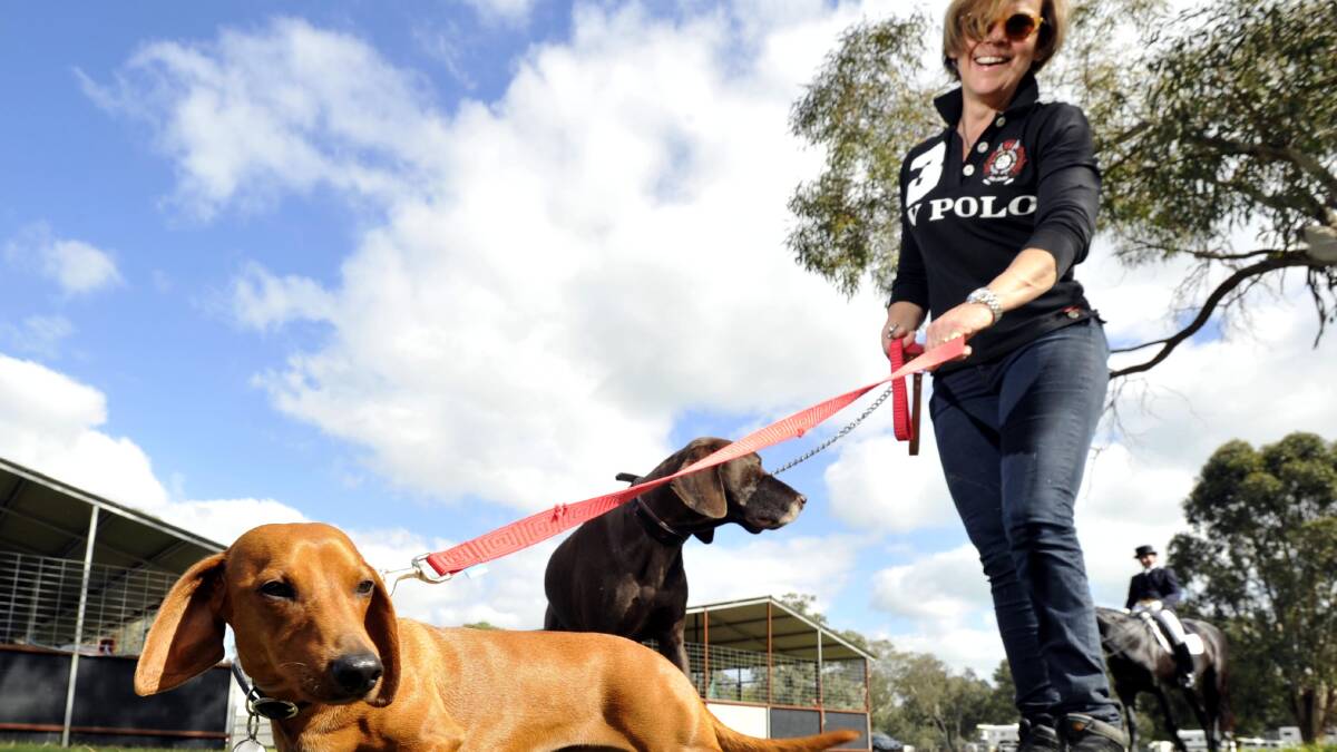 BENDICK MURRELL: Liza Carver of Sydney with her dogs Perseus and Carver at the Regional NSW Dressage championships on Saturday. Picture: Les Smith, The Daily Advertiser