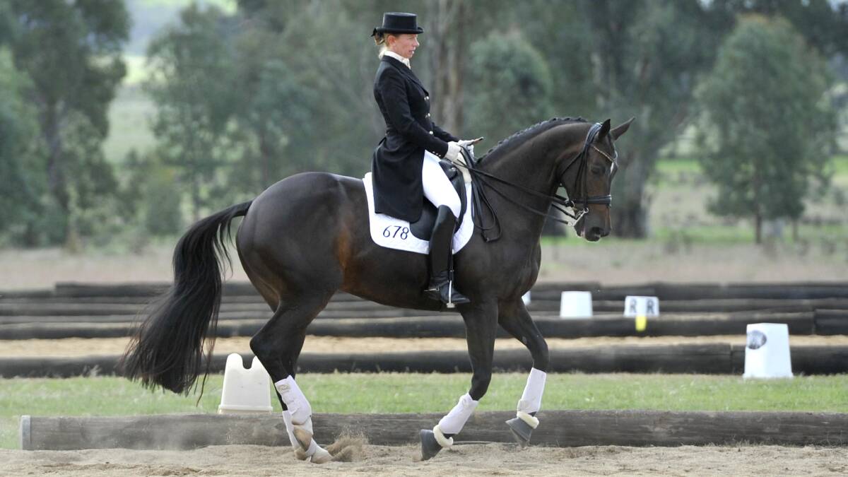 BENDICK MURRELL: Pamela Bode of Sydney on Sandahl Jarrah at the Regional NSW Dressage championships on Saturday. Picture: Les Smith, The Daily Advertiser