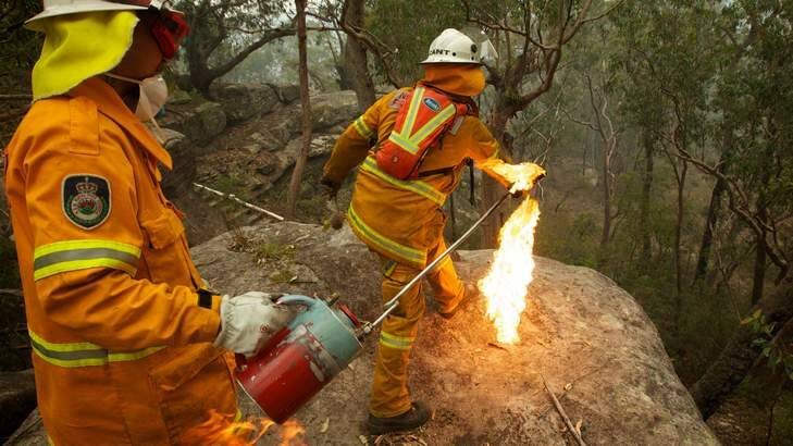 Banksia bombing ... NSW Rural Fire Service Crews  in property protection mode throw burning Banksia cones off an escarpment as they commence a back burn north of the Bells Line of Road between Berambing and Bilpin. Photo: Wolter Peeters