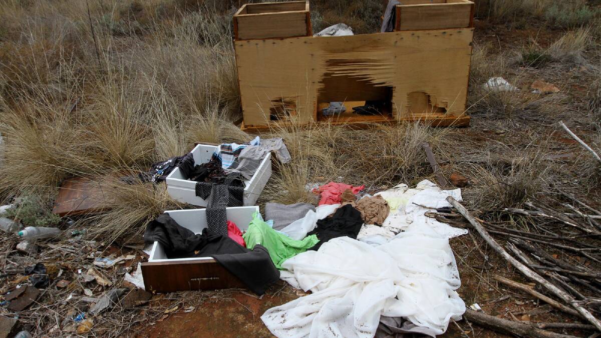 DOB IN A DUMPUER: A surge in litter and illegal dumping has spurred Councillor Pat Cox to advocate a “dob in a dumper” idea, in which mobile phone users capture offenders in the act and provide the evidence to council.
