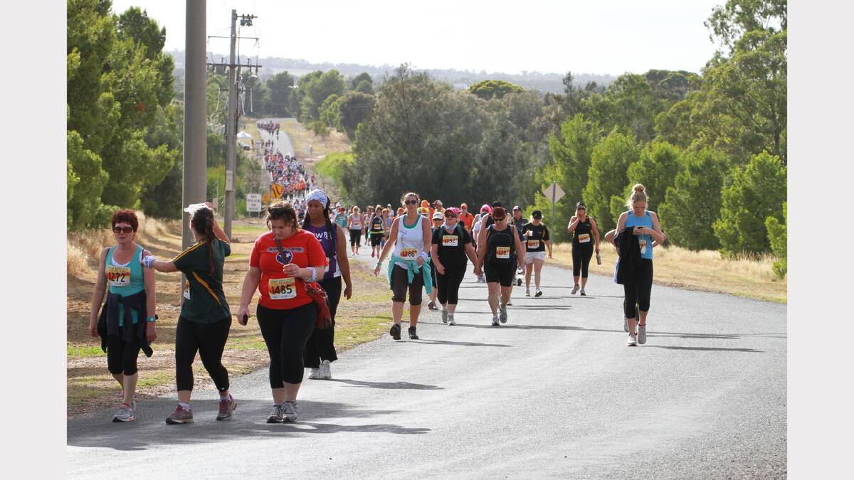 City to Lake fun run. Picture: Anthony Stipo