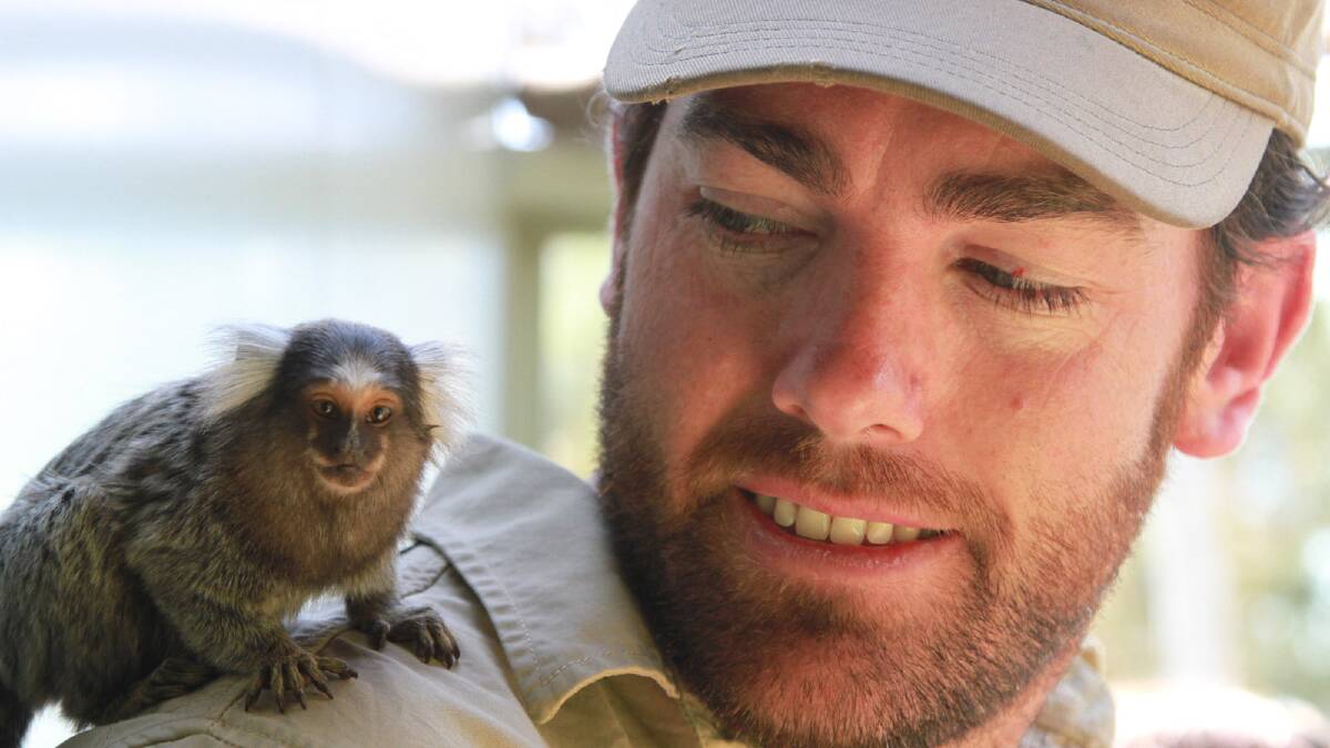 Ben Britton from National Geographic’s Wild Animal Encounters gets up close and personal with Altina Wildlife Park’s new marmoset monkeys. Picture: Anthony Stipo