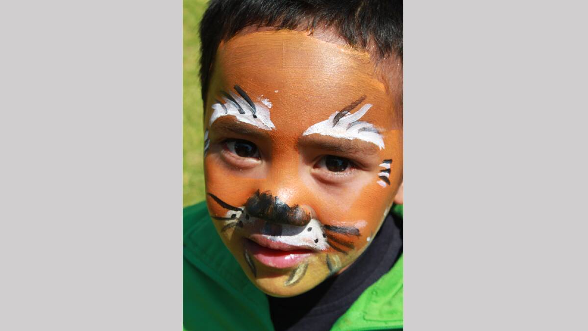 Little tiger  Paulo Asomua, 4, has his face painted at the Griffith Multicultural Festival. Picture: Anthony Stipo