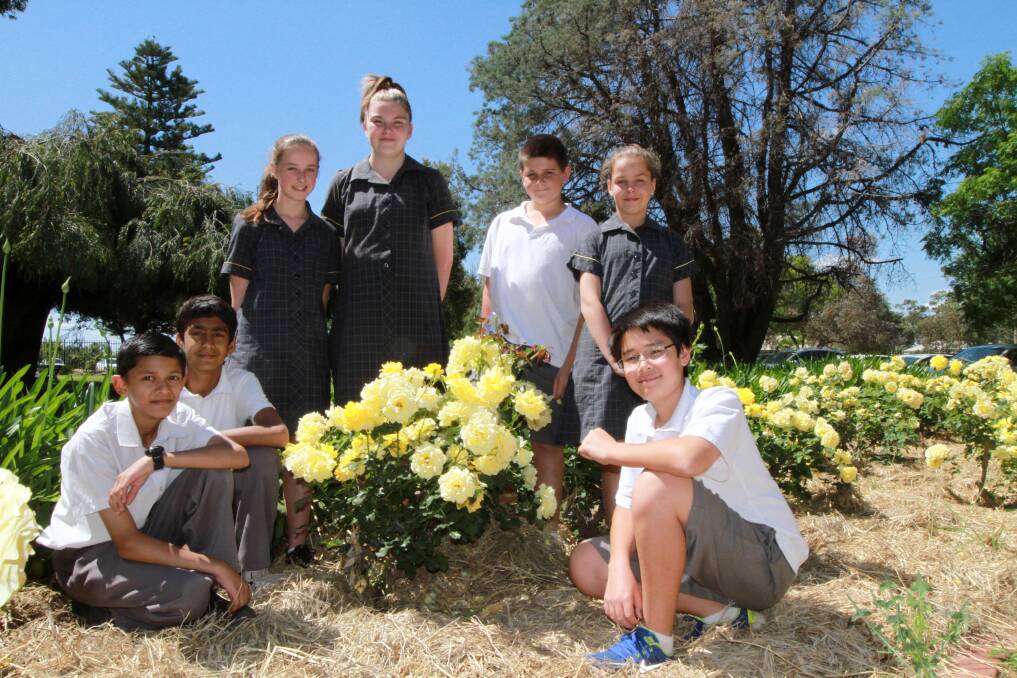 ROYAL TREATMENT: Griffith High School students Pranjal Chaurasia,13, Harsh Rathi,12, Ali Sarwary,13, Shalyn Chester,13, Elley Mawson,13, Will Taylor,12, and Shaleen Cox,13 got the royal treatment last week when His Royal Highness Crown Prince Frederik and Her Royal Highness Crown Princess Mary attended the Premier's Reading Challenge presentation.