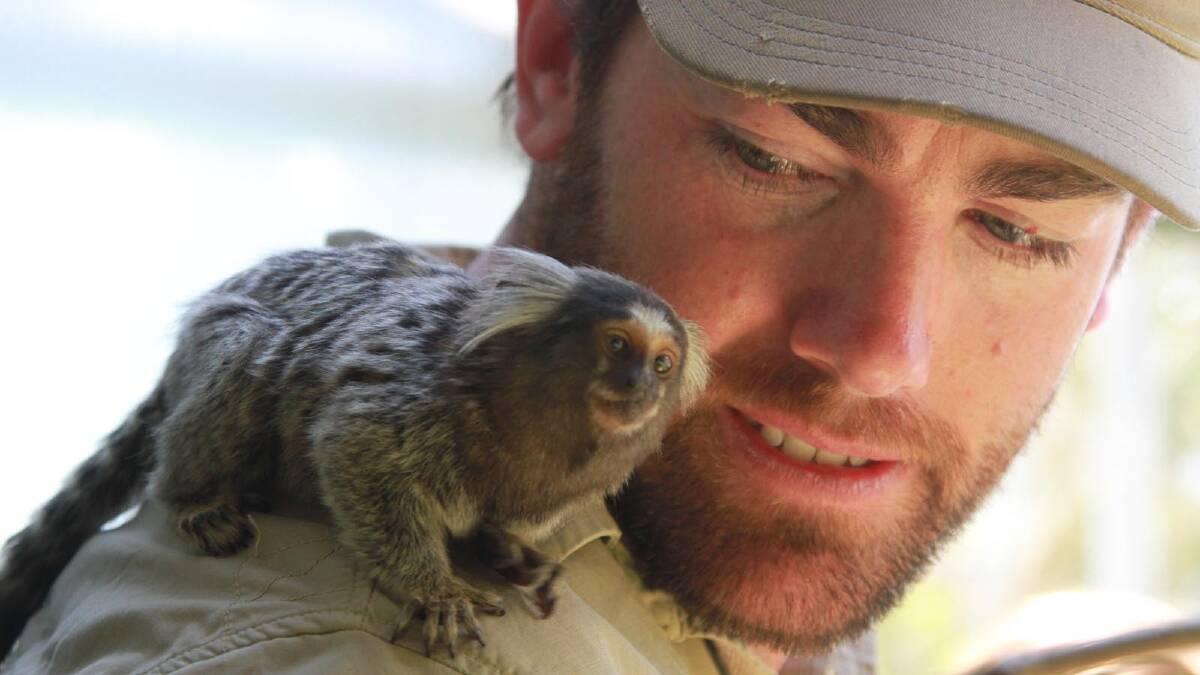Ben Britton from National Geographic's Wild Animal Encounters at Altina Wildlife Park's common marmoset enclosure open day. Picture: Anthony Stipo