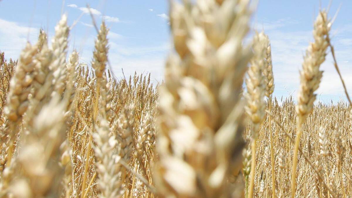 Local farmers have expressed their delight with the federal government's decision to reject the foreign takeover of GrainCorp.