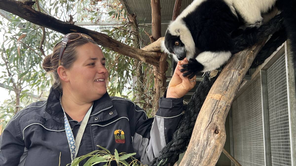 Rebecca Salau with Tsiky, the black-and-white ruffed lemur. Picture supplied