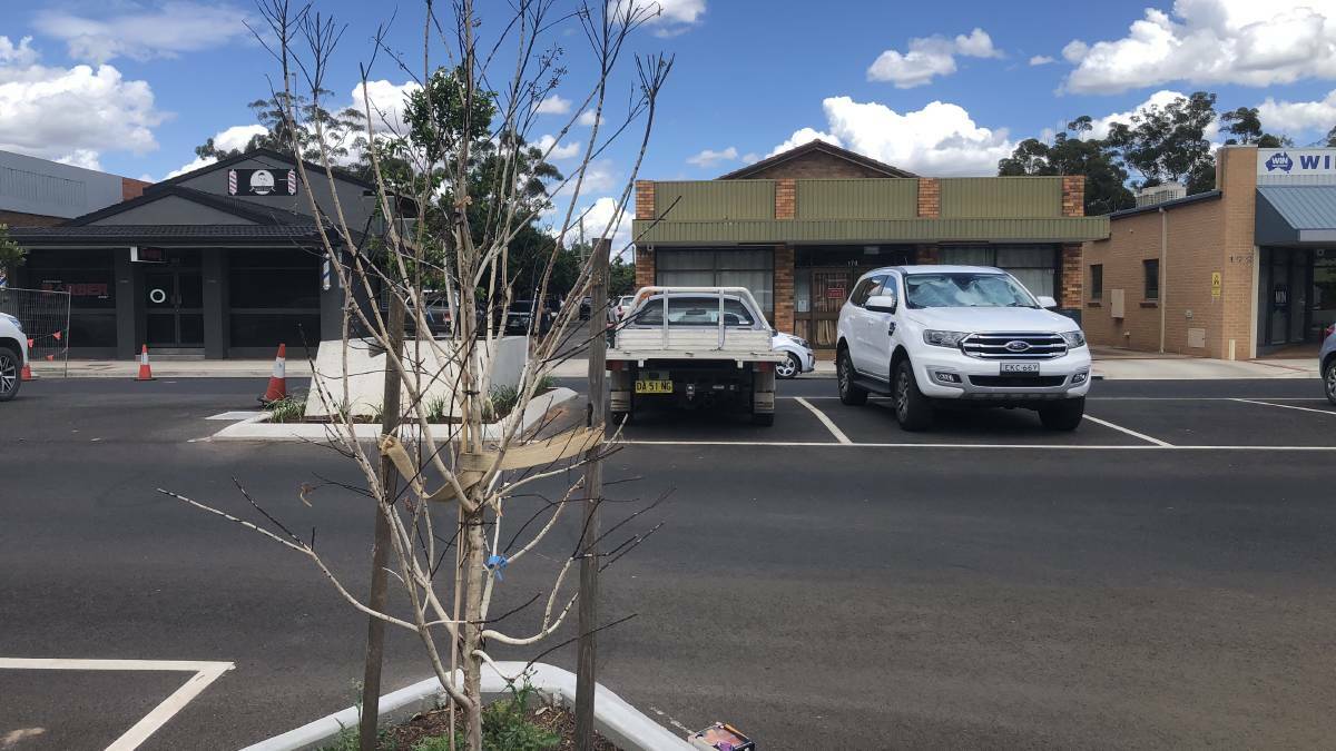 MISSING: Over 40 plants along Yambil Street have been dug up and stolen, with a $5000 reward for information on their whereabouts. PHOTO: Cai Holroyd