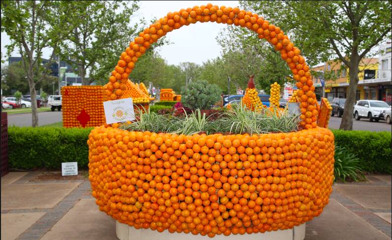 ORANGE YOU GLAD: For two weeks, Banna Avenue will feature over 70 citrusy sculptures celebrating all things orange. PHOTO: File
