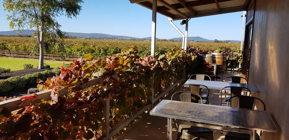 ON THE GRAPEVINE: Yarran Wines has taken home the Best Cellar Door award this year, honouring their unique experience. PHOTO: Cai Holroyd