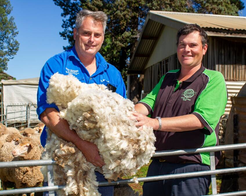 NO PULLING THE WOOL OVER THEIR EYES: Carl Chirgwin and Mark Duncan took Murrumbidgee Regional High School all the way to the top of the National Merino Challenge's wool category. PHOTO: Contributed