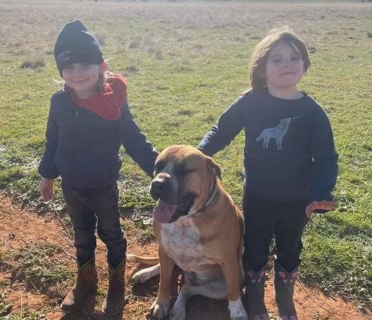 Amanda and her kids fell in love with Jasper, a rescue dog. Picture supplied