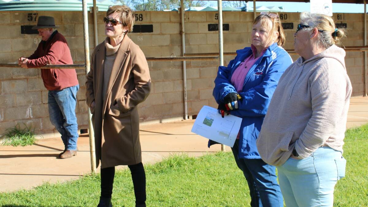 FORUM: Member for Murray Helen Dalton convened a meeting at the park to discuss the fence. PHOTO: Contributed