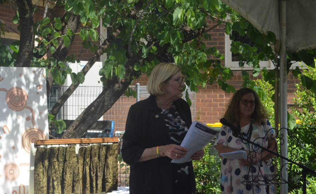 CHIEF: MLHD Chief Executive Jill Ludford spoke about the importance of mental health services in regional Australia at the launch of Griffith's new Safe Haven. PHOTO: Cai Holroyd