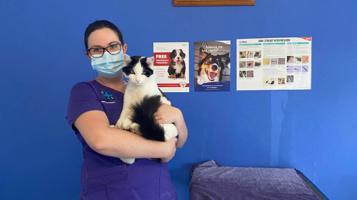 SUMMER SAFETY FOR FURRY FRIENDS: Practice Manager of Griffith Veterinary Hospital Sam Blomeley says whilst summer can be fun, the high temperatures run real risks for our furry loved ones. PHOTO: Lizzie Gracie
