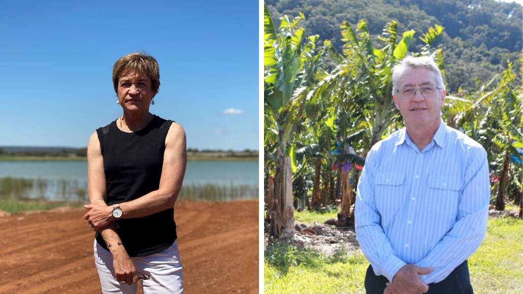 DIFFERENT IDEAS: Member for Murray Helen Dalton and Daryl Quinlivan. PHOTO: Supplied. INSET: Canva 