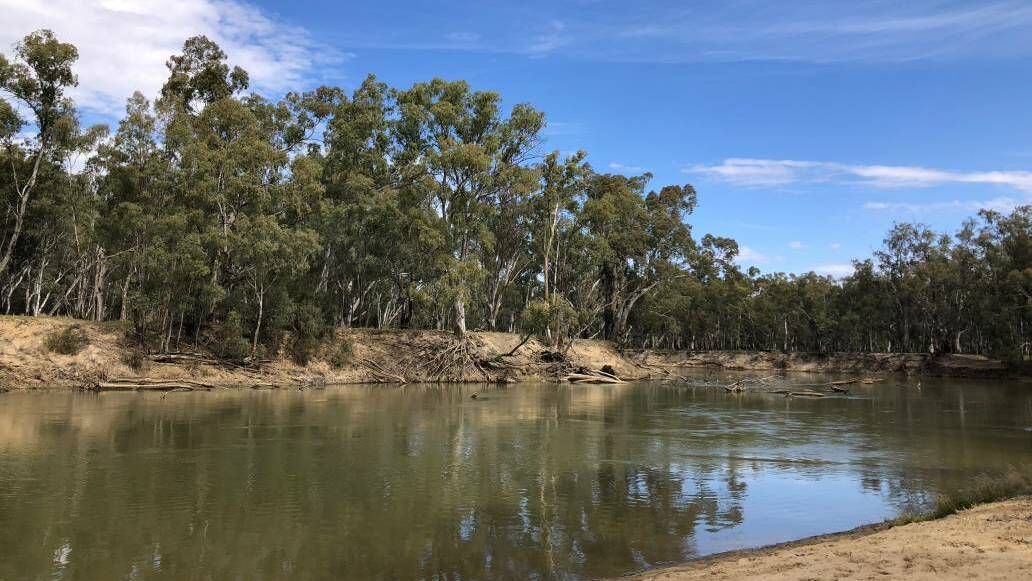 Blue skies, cool water and sandy "beaches" - what more could you want out at the Murrumbidgee River. 