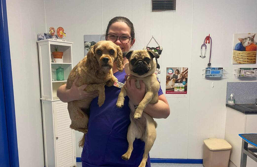 GET VACCINATED: Practice Manager at Griffith Veterinary Hospital, Sam Blomeley encourages dog owners to get their dogs vaccinated against parvovirus with the help of two furry friends. PHOTO: Lizzie Gracie 