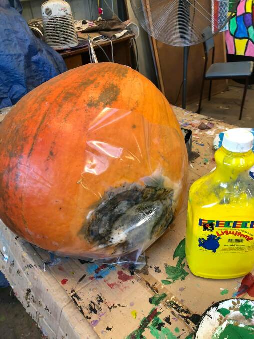 ROTTING AWAY: One of the giant pumpkins that didn't make it to competition time earlier this year. PHOTO: Griffith Show Society
