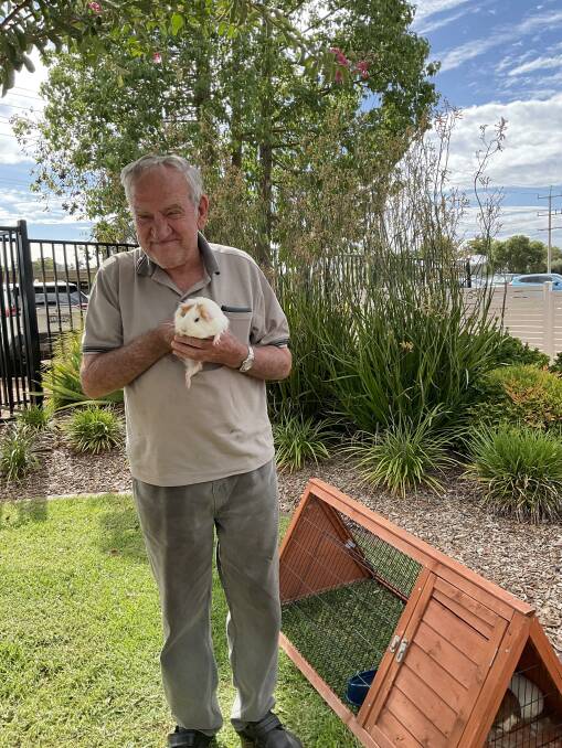 Uniting Care Griffith resident Peter O Donnell said he found 'great joy' in caring for the guinea pigs. 