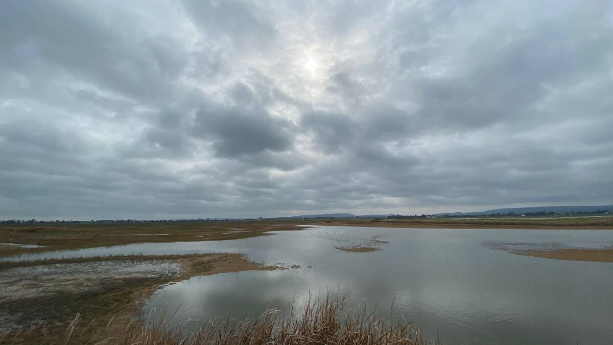 RAMSAR RATED: The Fivebough Wetlands PHOTO: Talia Pattison