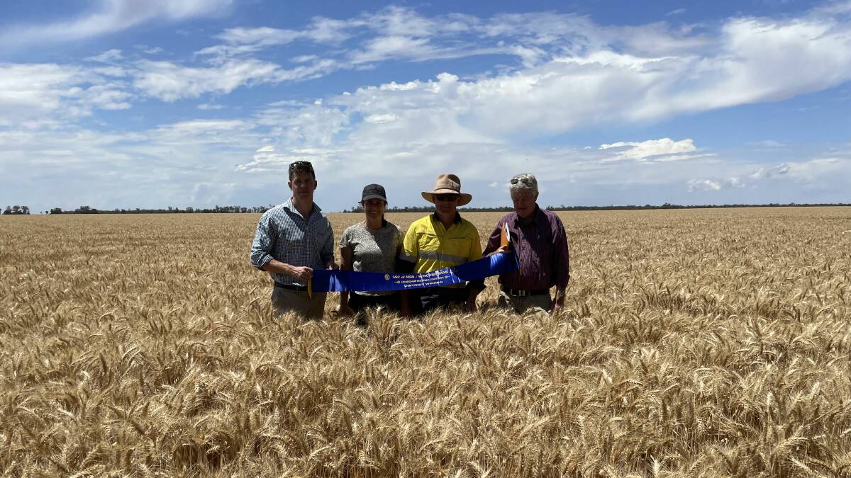 WINNERS ARE GRINNERS: Rebecca and Sheldon Dalton pictured in the winning crop at Hillston at the 'Myrtleford' Property on Weavers Road alongside Suncorp Bank Relationship Manager at Wagga Duncan Fisher and Austwest Seeds State and Regional Judge Frank McRae. PHOTO: Supplied
